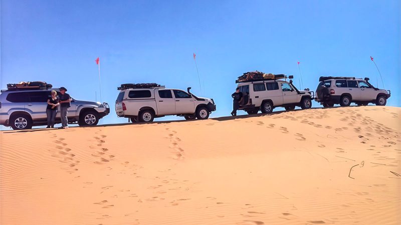 4WDSA